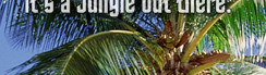 www.traveljungle.co.uk